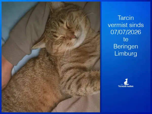 Tarcin