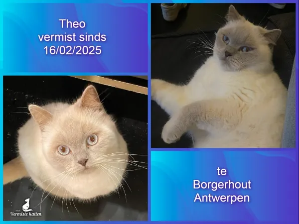 Theo