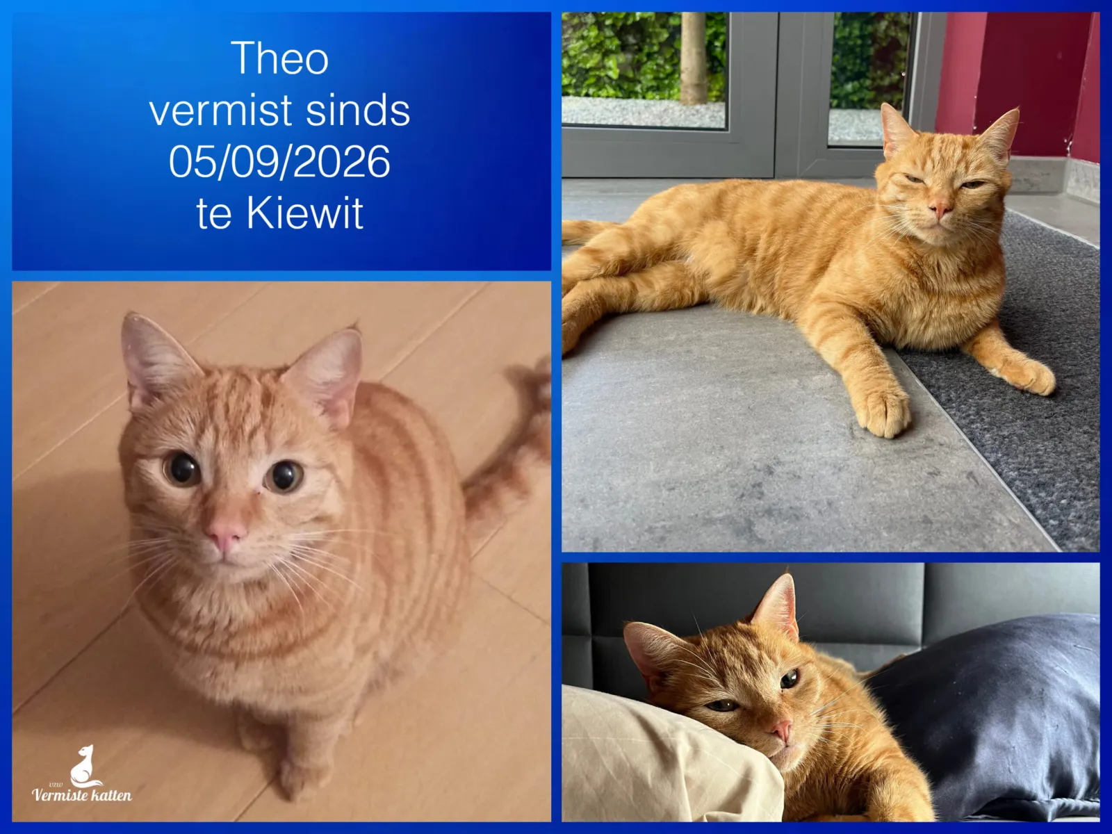 Theo