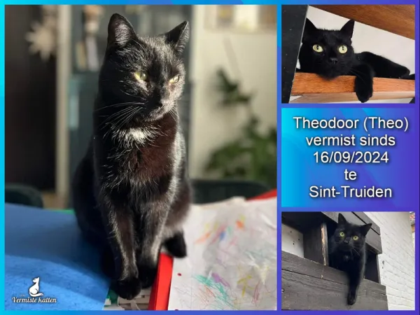 Theodoor – Theo