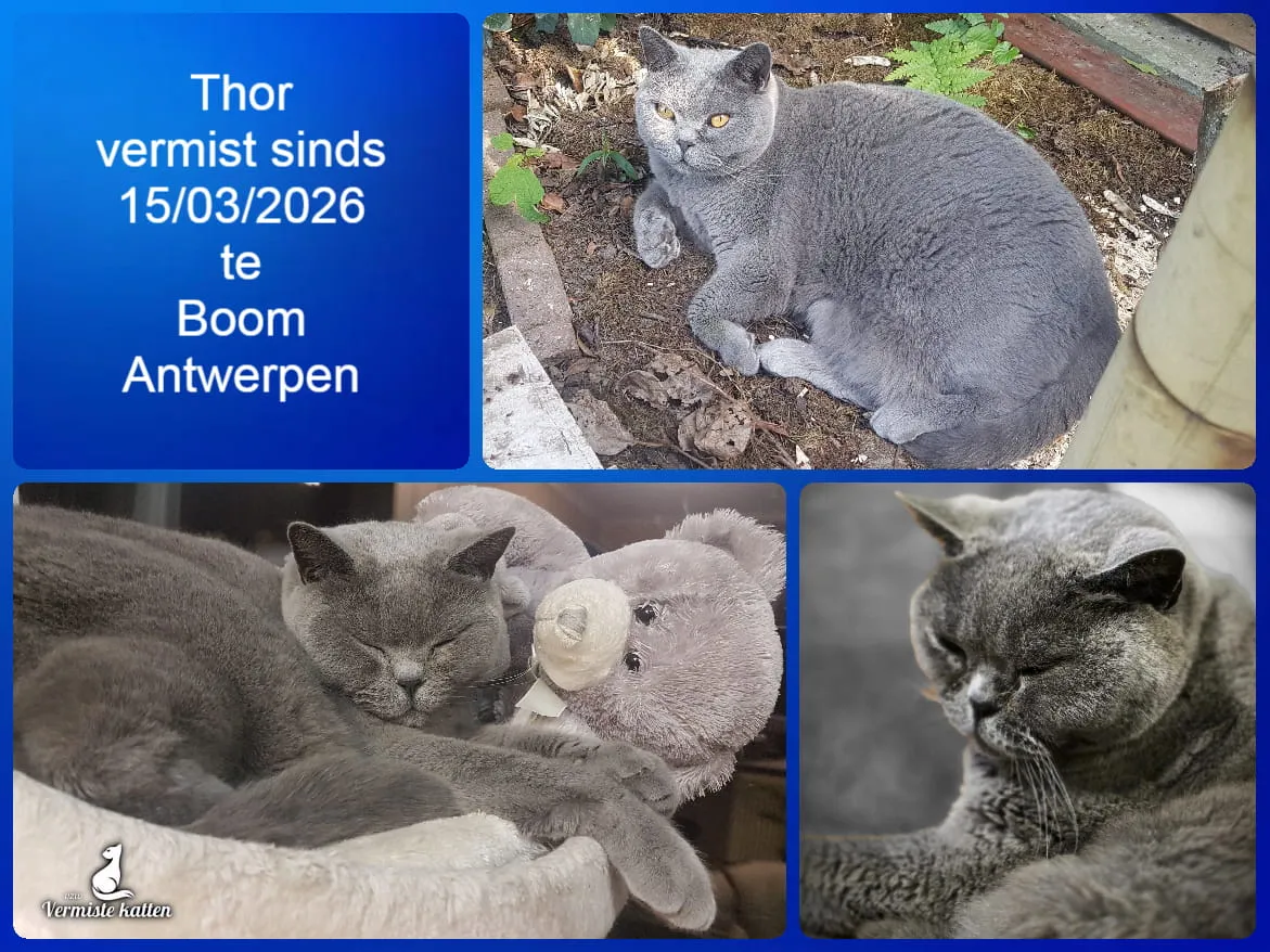 Thor