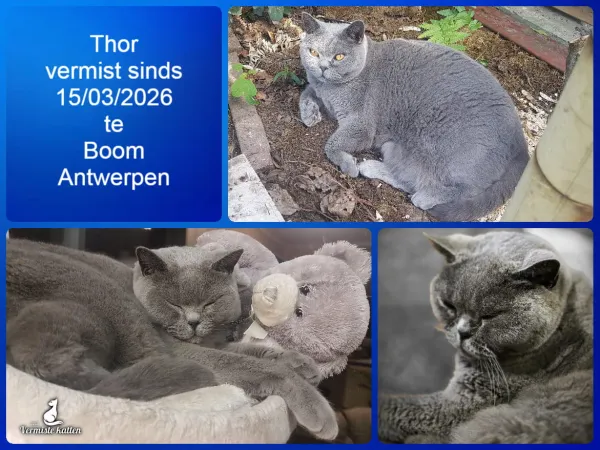 Thor