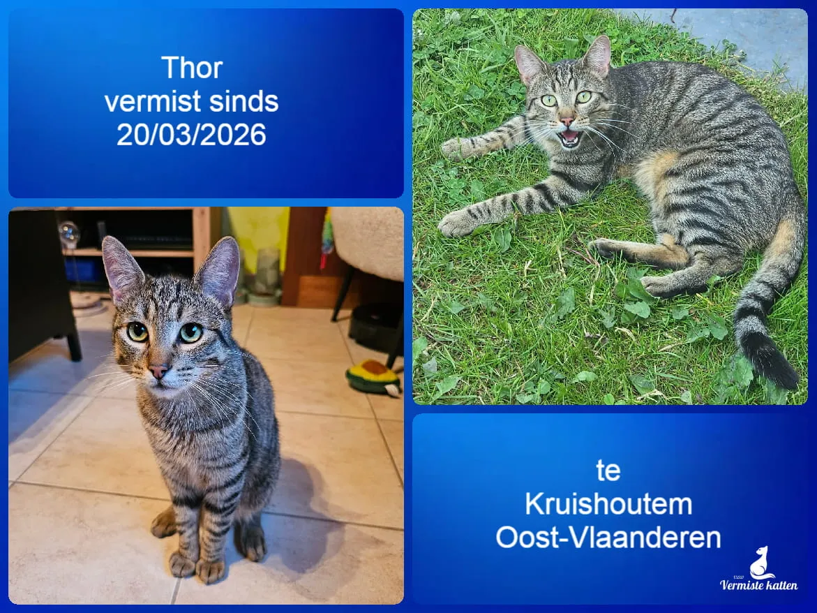 Thor