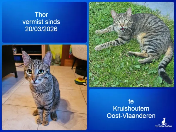 Thor