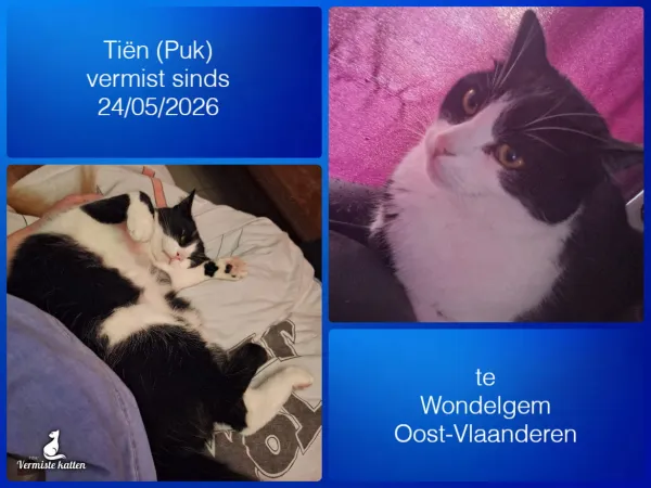 Tiën (Puk)