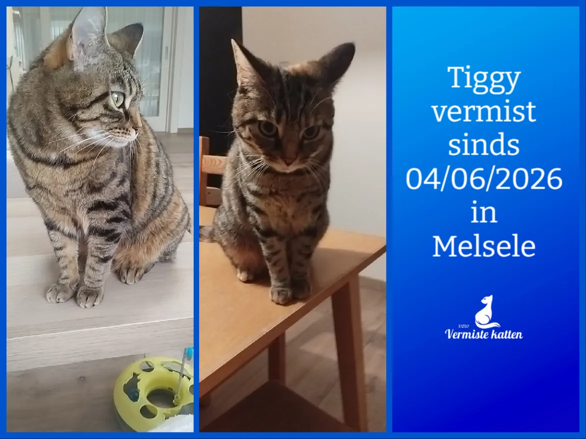 Tiggy