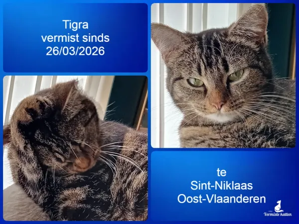 Tigra
