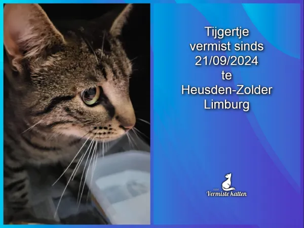 Tijgertje