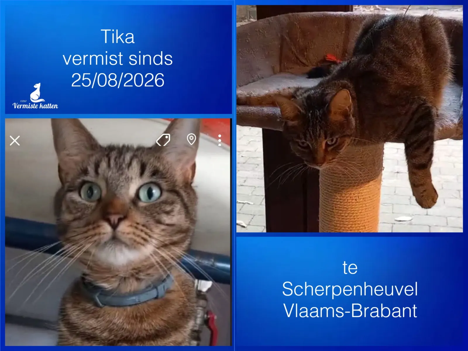 TIKA