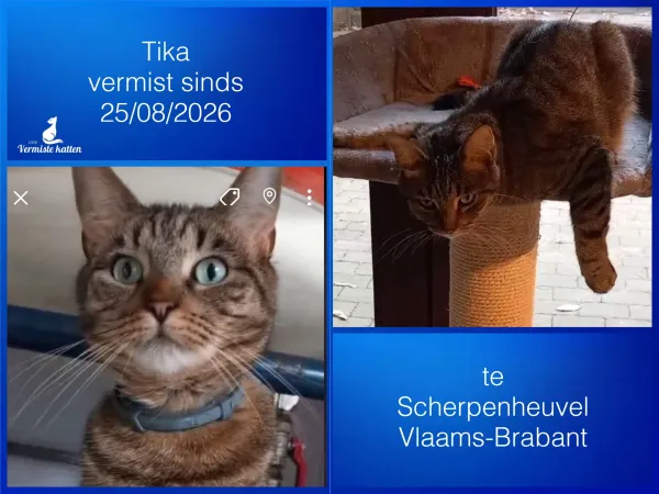 TIKA