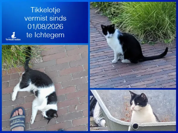 Tikkelotje