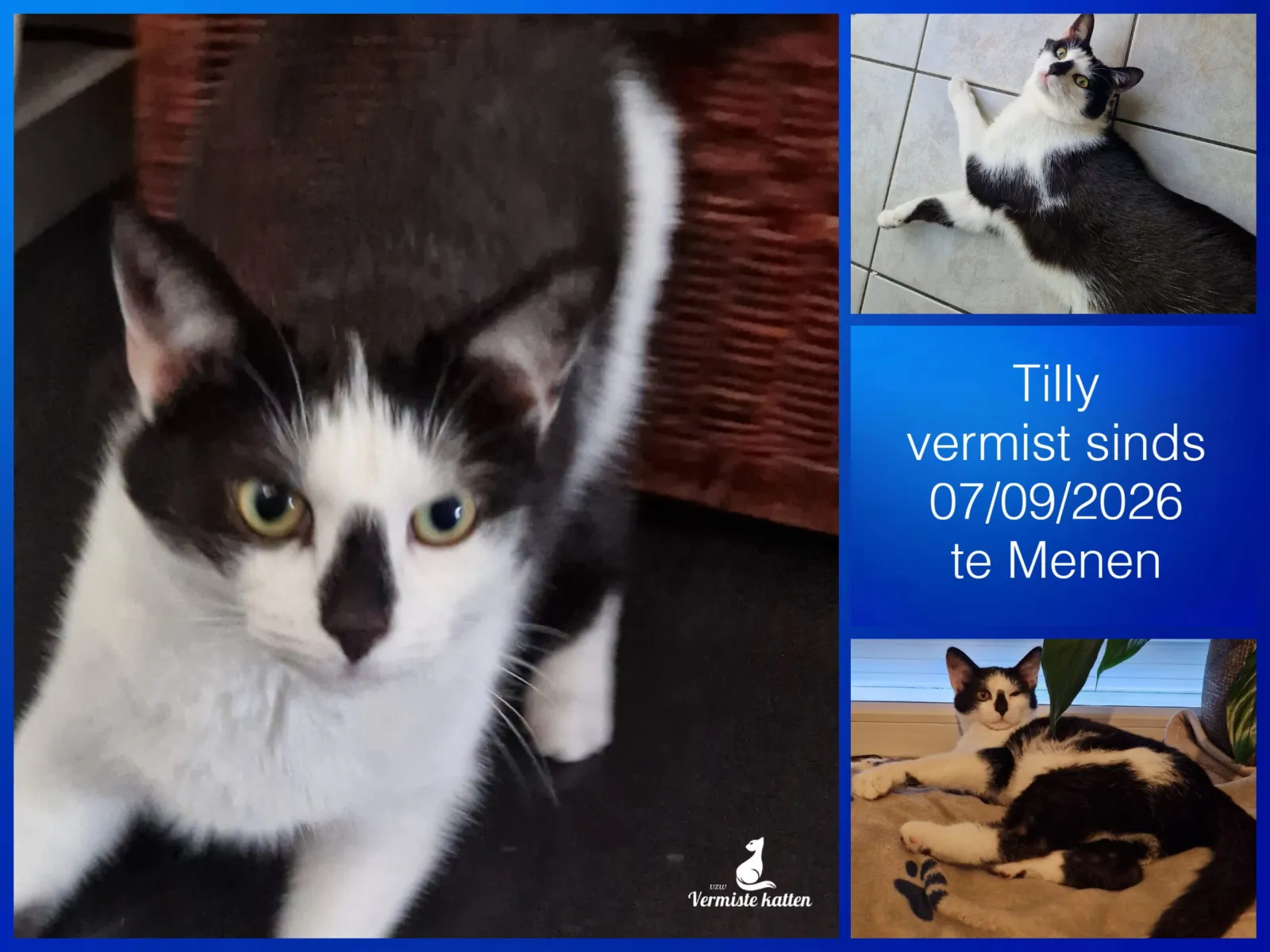 Tilly