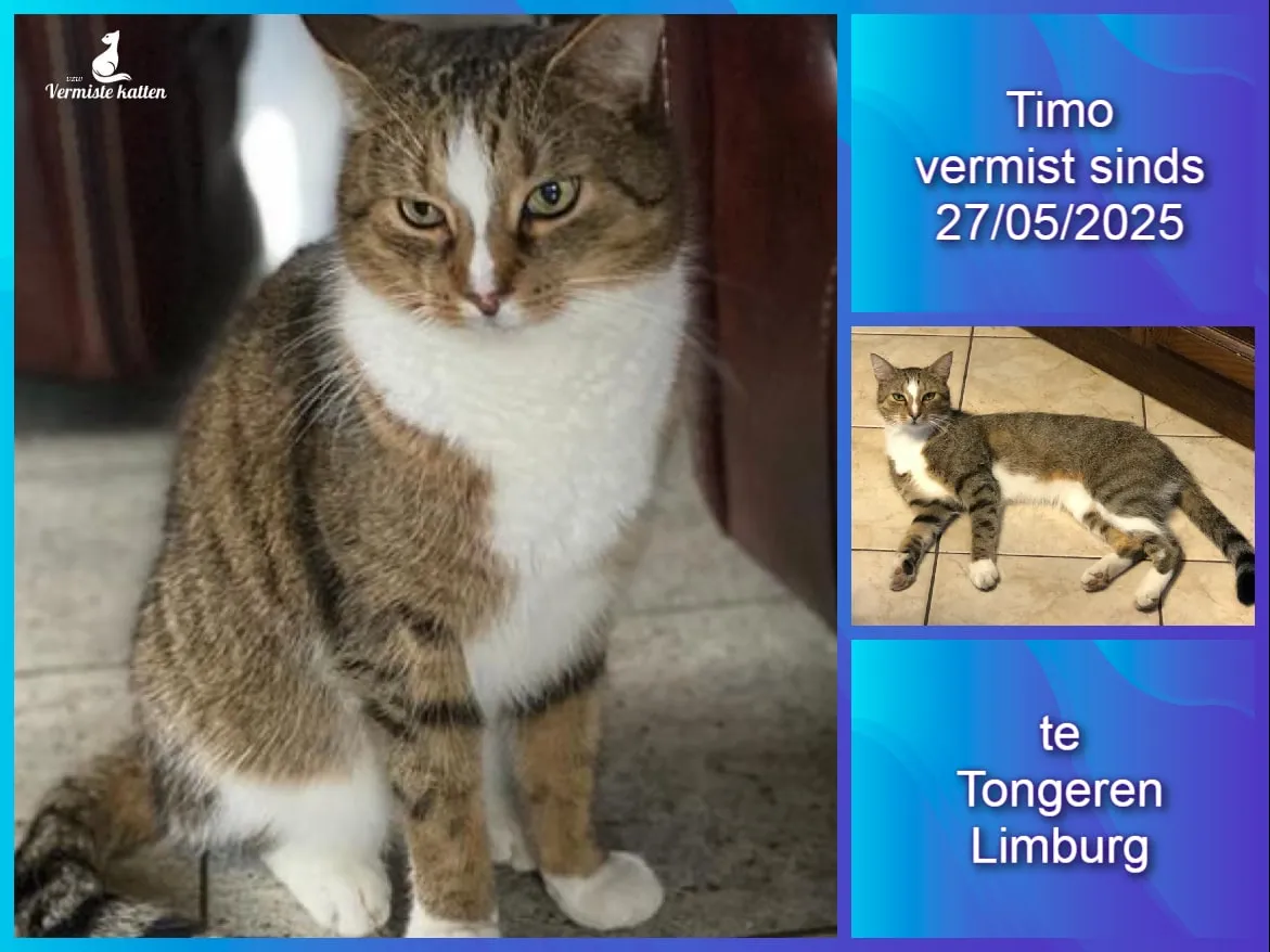 Timo