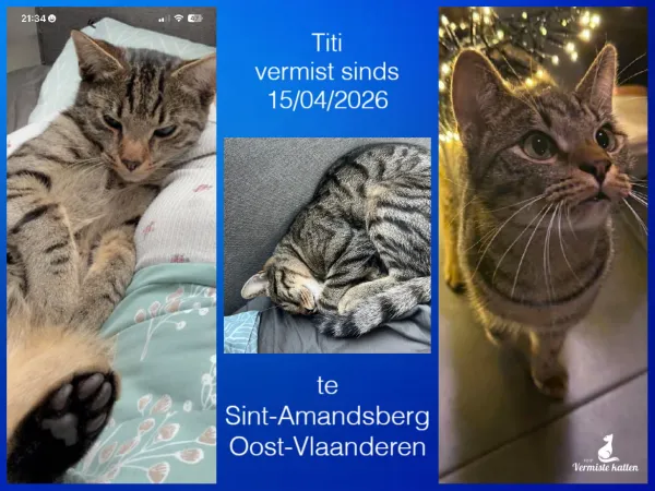 Titi