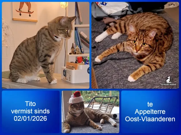 TITO