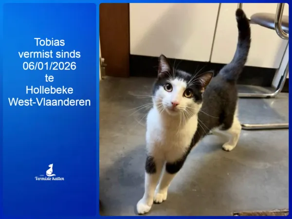 Tobias