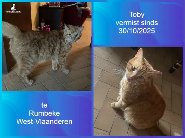 Toby