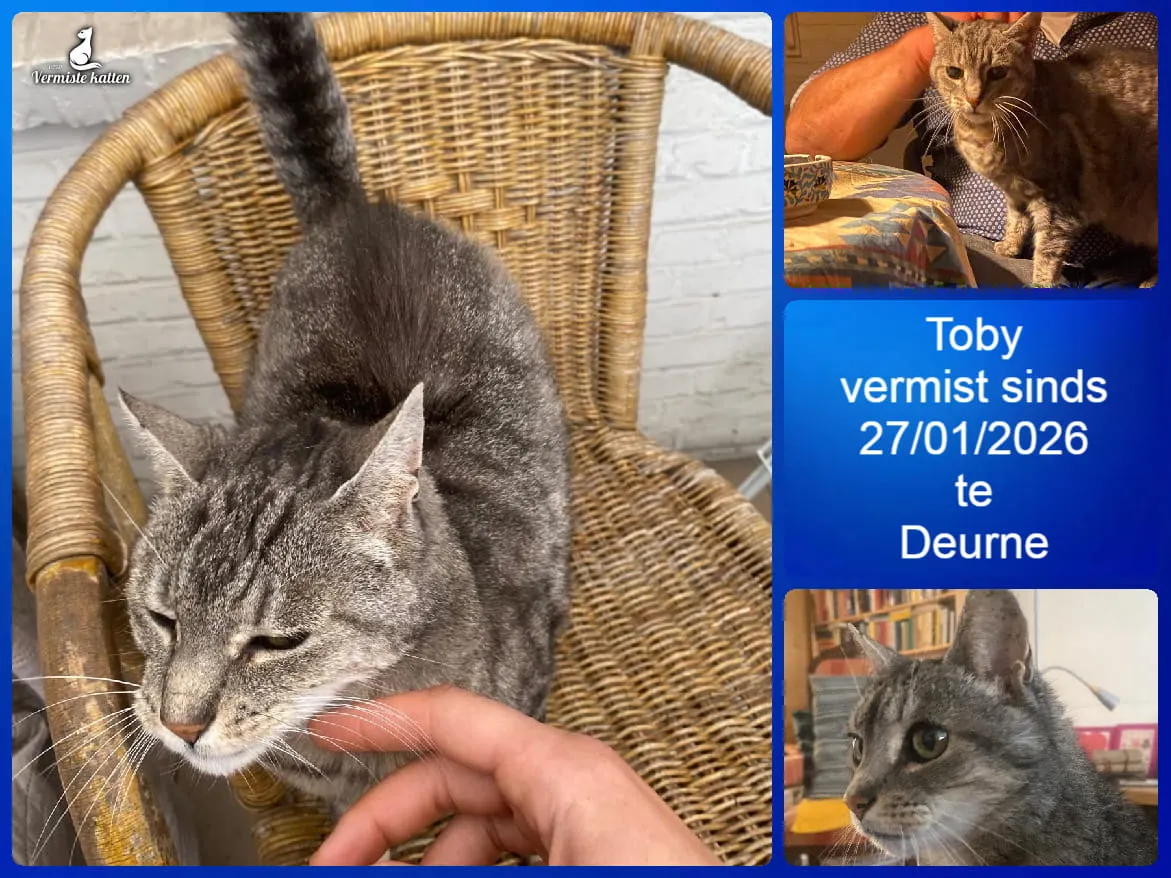 Toby