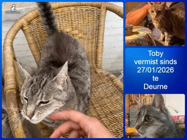 Toby