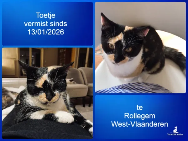 Toetje