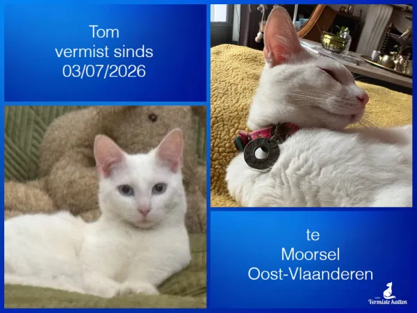 Tom