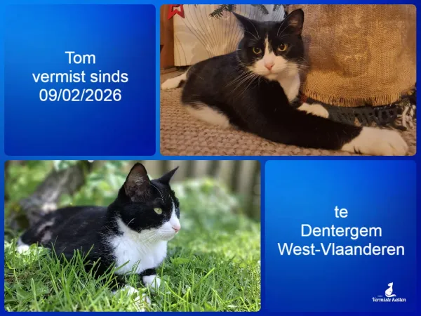 Tom