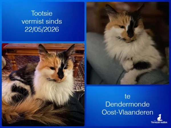 Tootsie