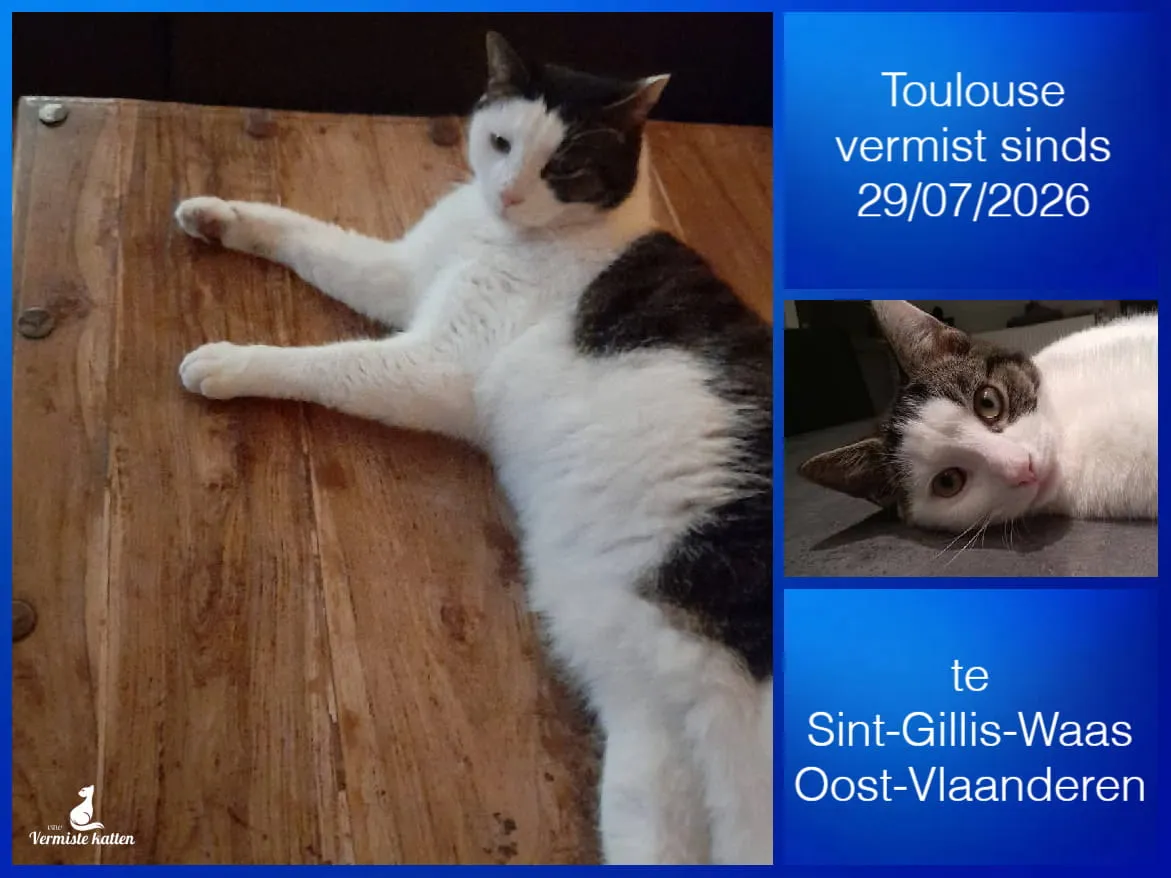 Toulouse
