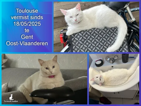 Toulouse