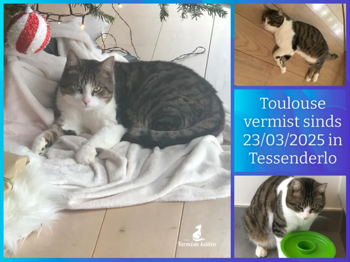Toulouse