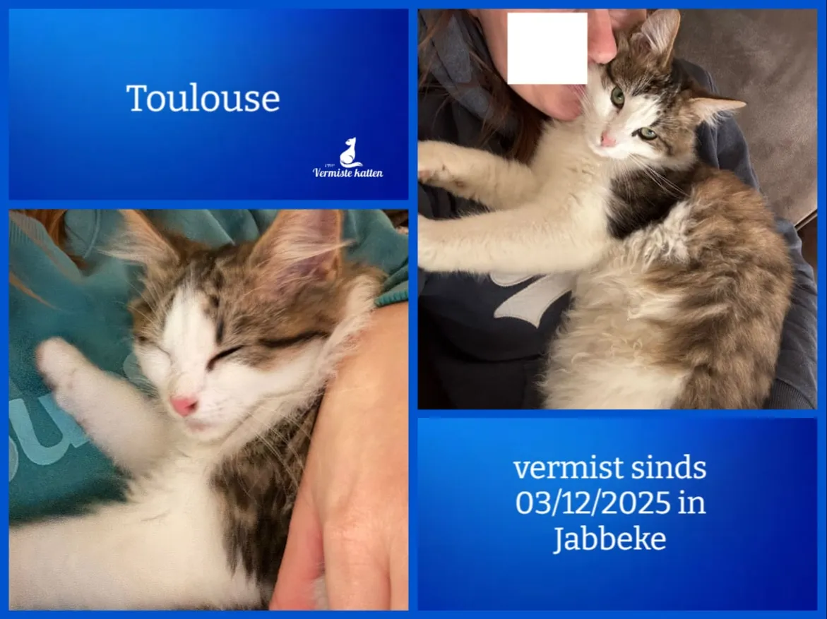 Toulouse