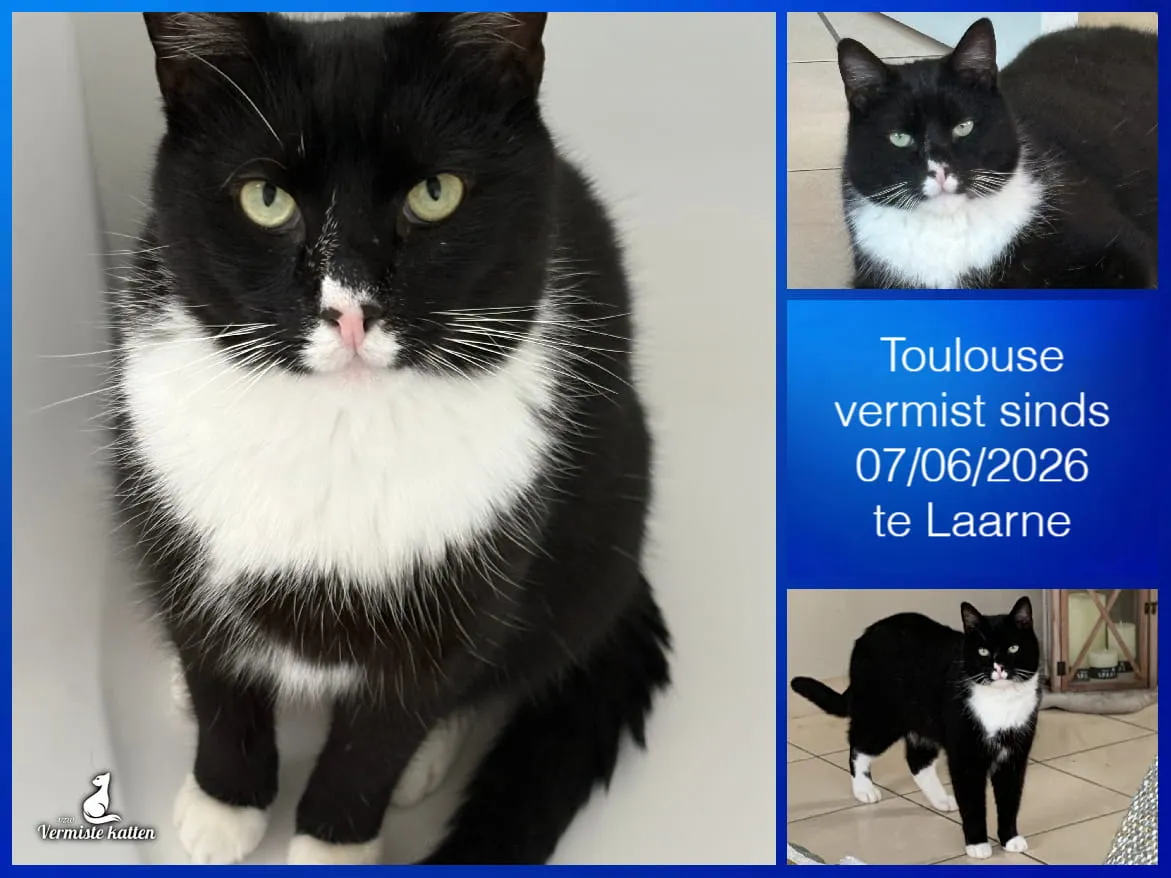 Toulouse