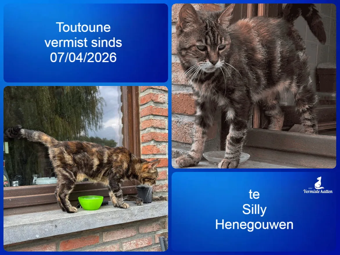Toutoune