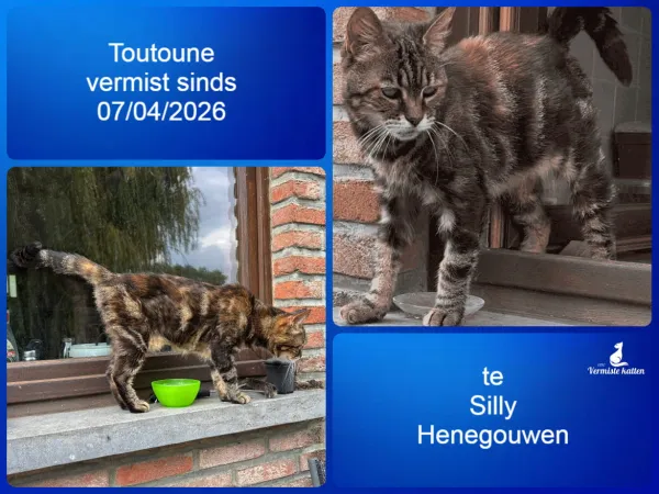 Toutoune