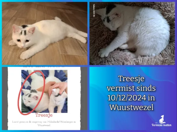 Treesje