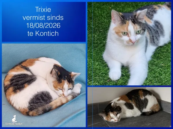 Trixie