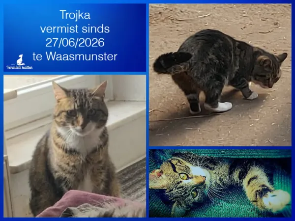 Trojka