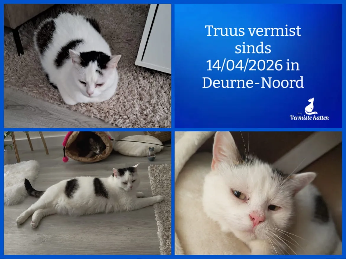 Truus