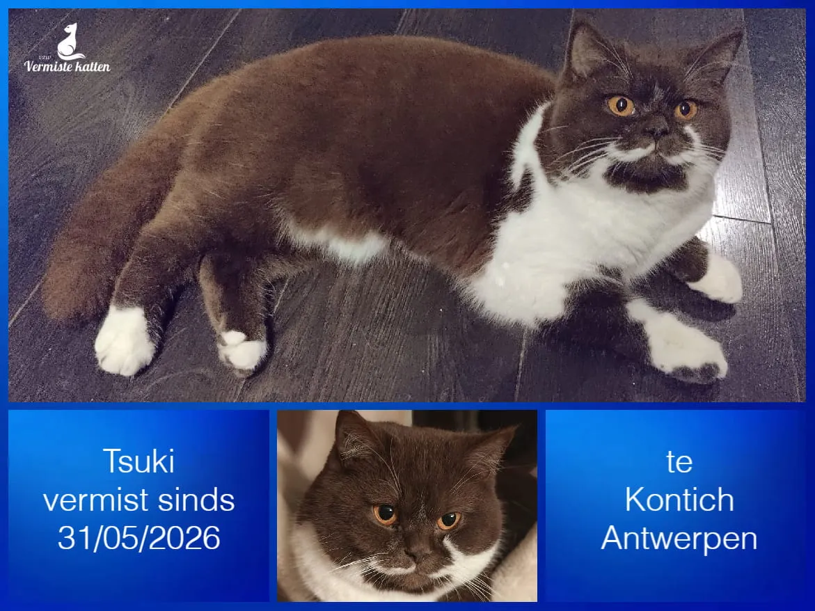 Tsuki