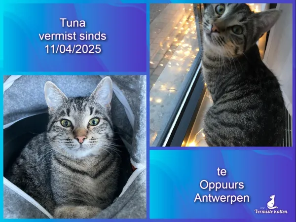 Tuna