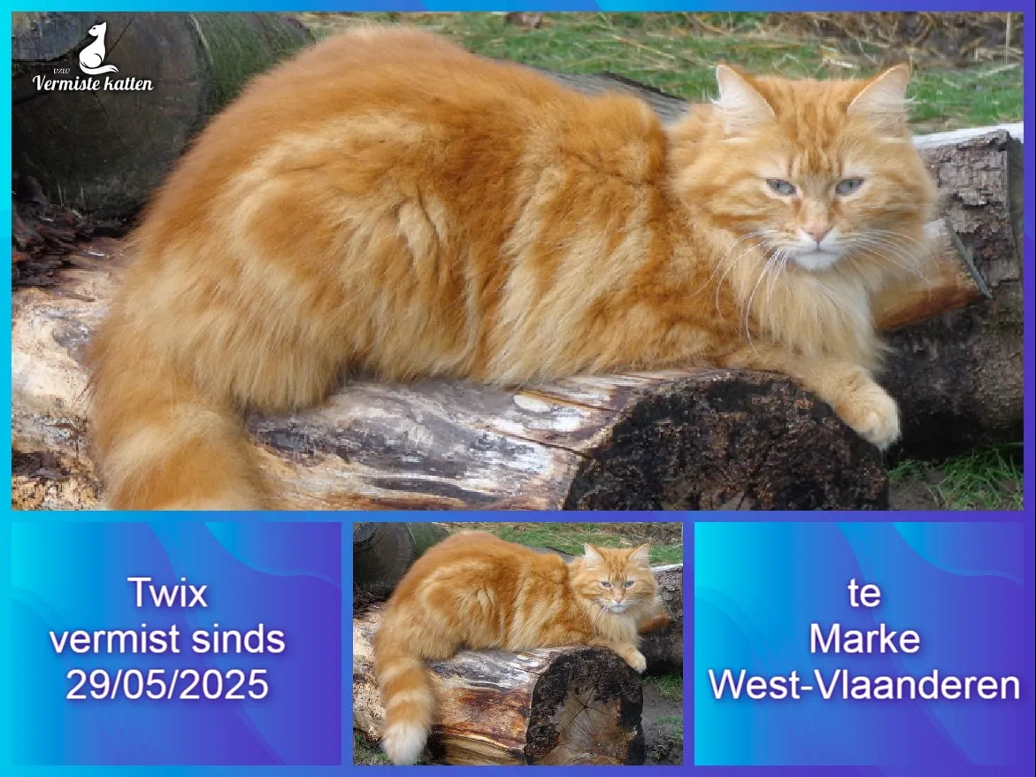 Twix