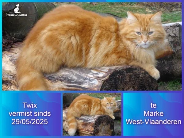 Twix