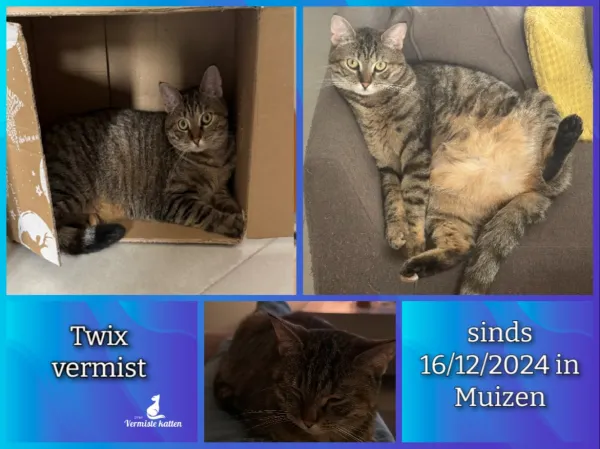 Twix