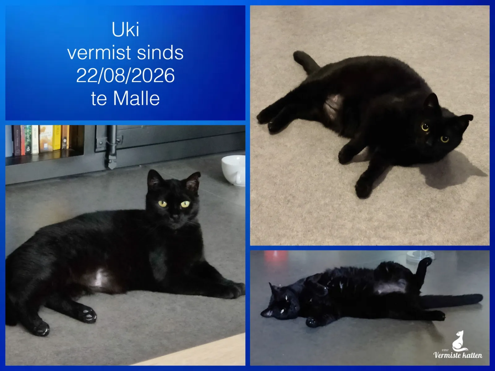 Uki