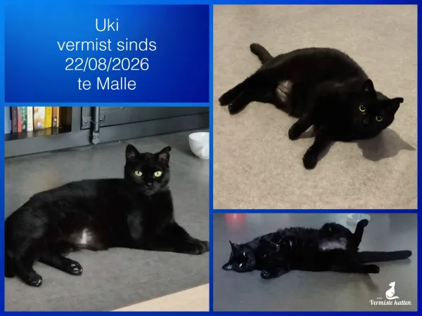 Uki