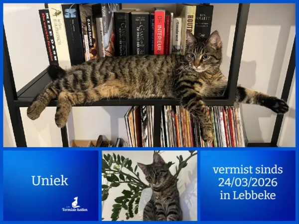 Uniek