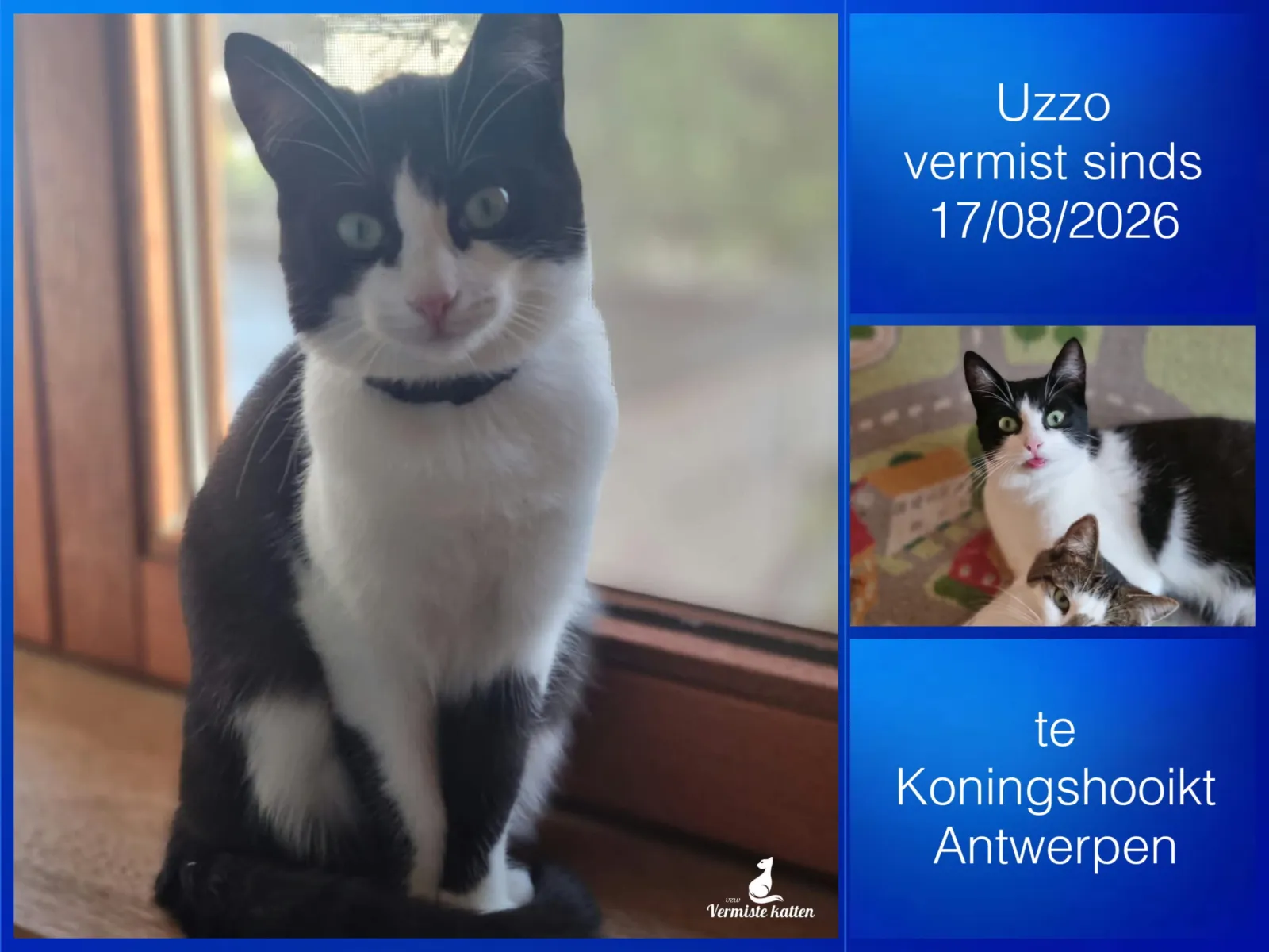 uzzo