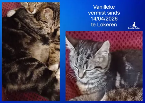 Vanilleke