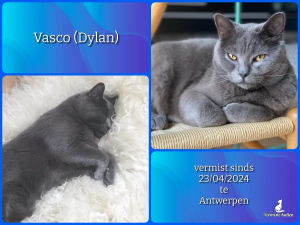 Vasco (paspoort Dylan)