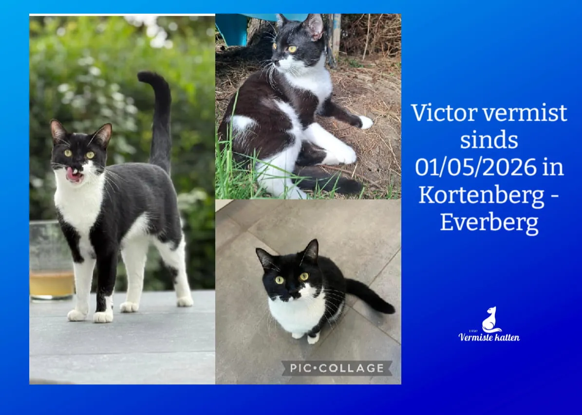 Victor